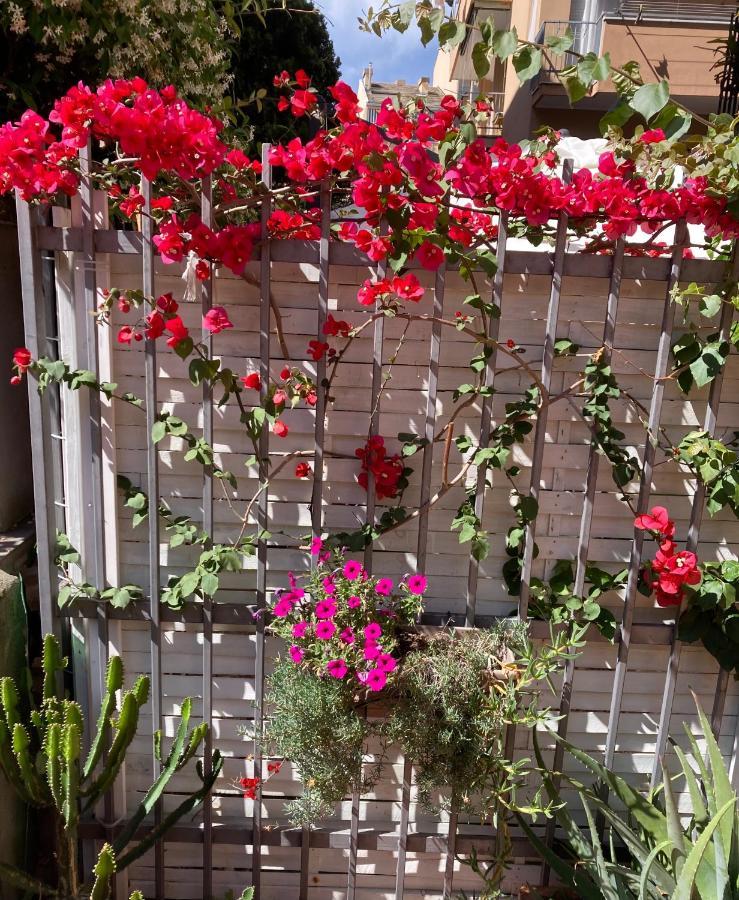 لافانيا B&B Le Bouganville المظهر الخارجي الصورة
